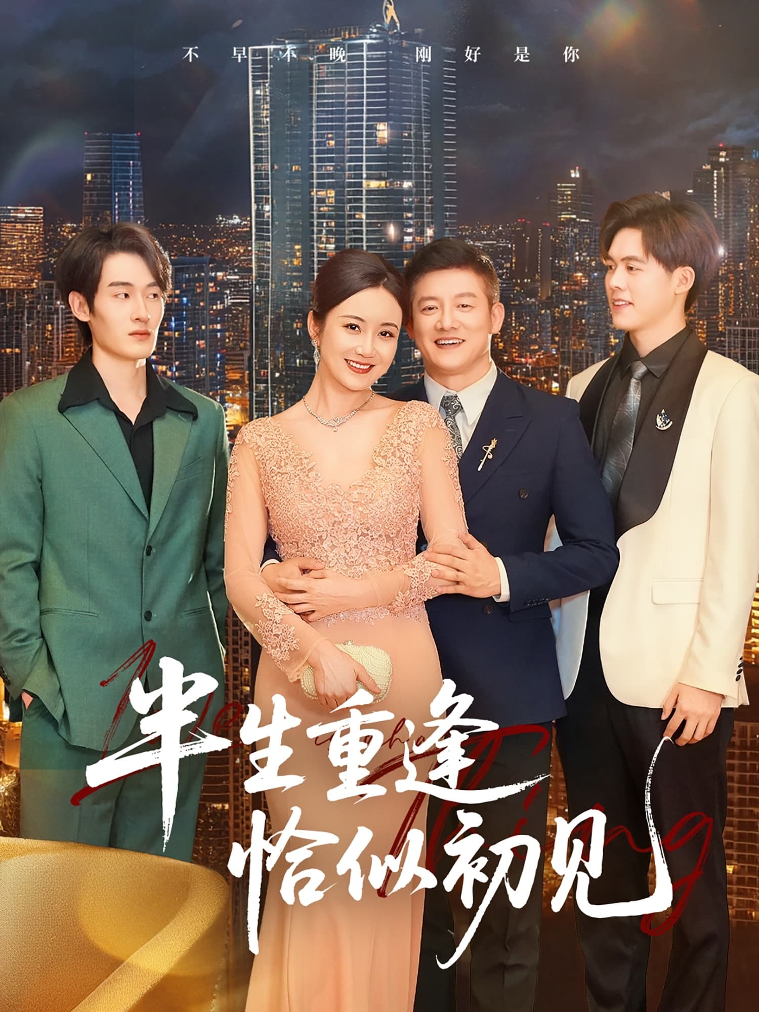 短剧《半生重逢恰似初见》 高清短剧全集免费，完整版在线自由欣赏  第1张